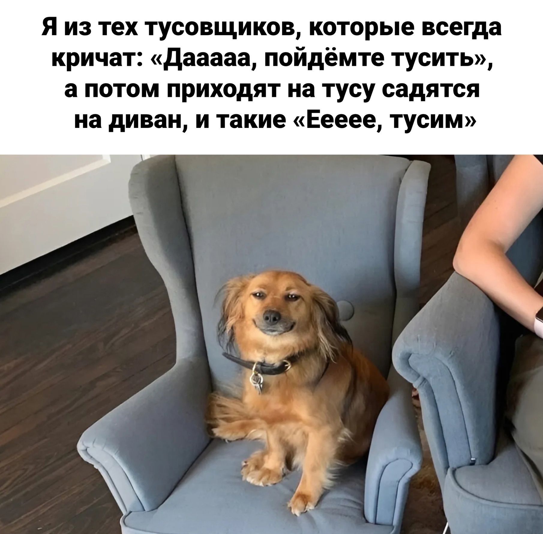 Я из тех тусовщиков которые всегда кричат Дааааа пойдёмте тусить а потом приходят на тусу садятся на диван и такие Еееее тусим