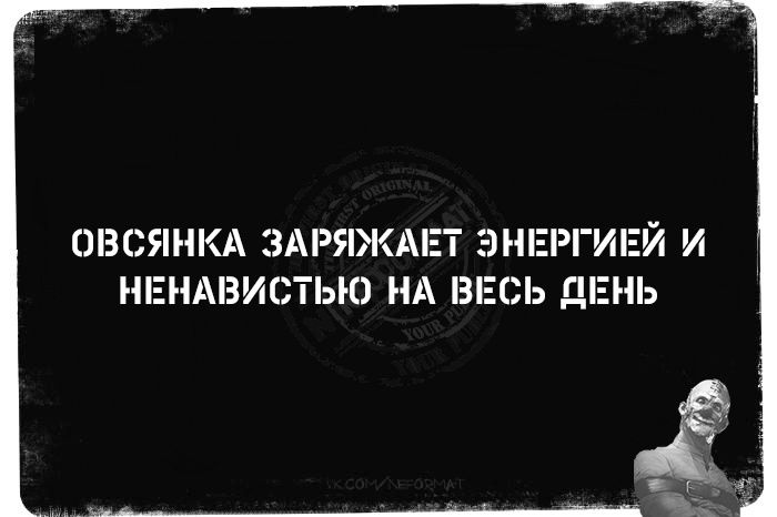 ОВСЯНКА ЗАРЯЖАЕТ ЭНЕРГИЕЙ И НЕНАВИСТЬЮ НА ВЕСЬ ДЕНЬ