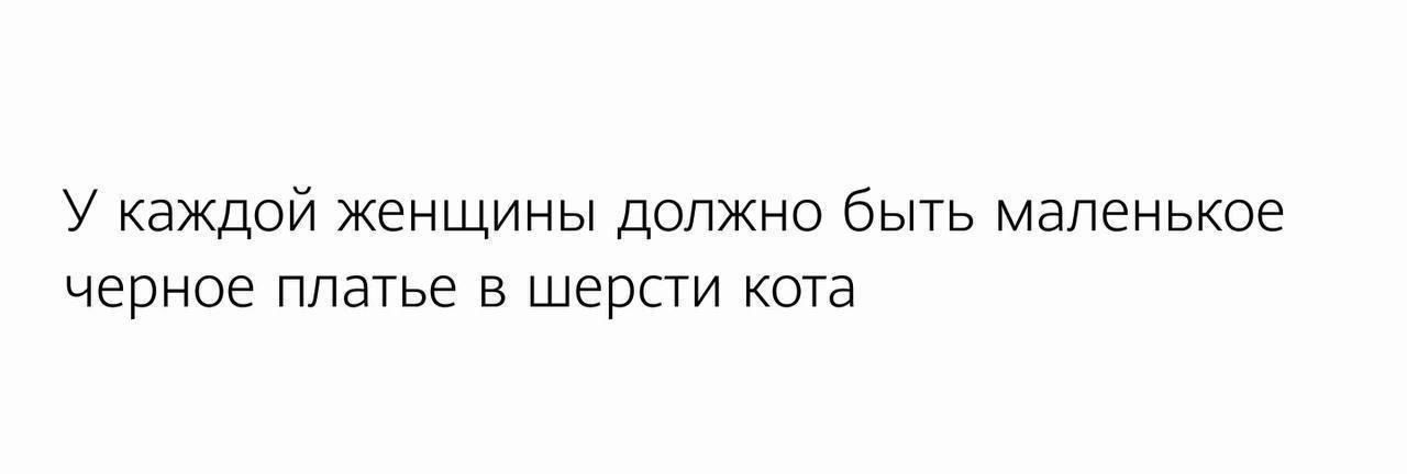 У каждой женщины должно быть маленькое черное платье в шерсти кота