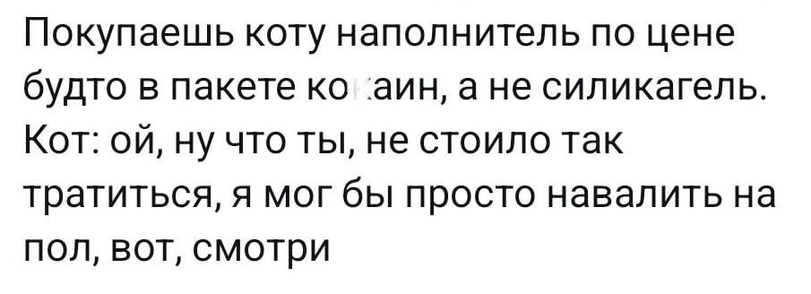 Покупаешь коту наполнитель по цене будто в пакете ко аин а не силикагель Кот ой ну что ты не стоило так тратиться я мог бы просто навалить на пол вот смотри