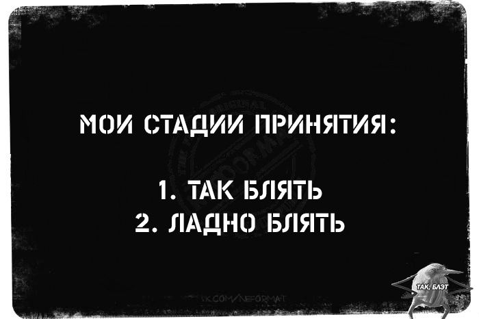 МОИ СТАДИИ ПРИНЯТИЯ 1 ТАК БЛЯТЬ 2 ЛАДНО БЛЯТЬ