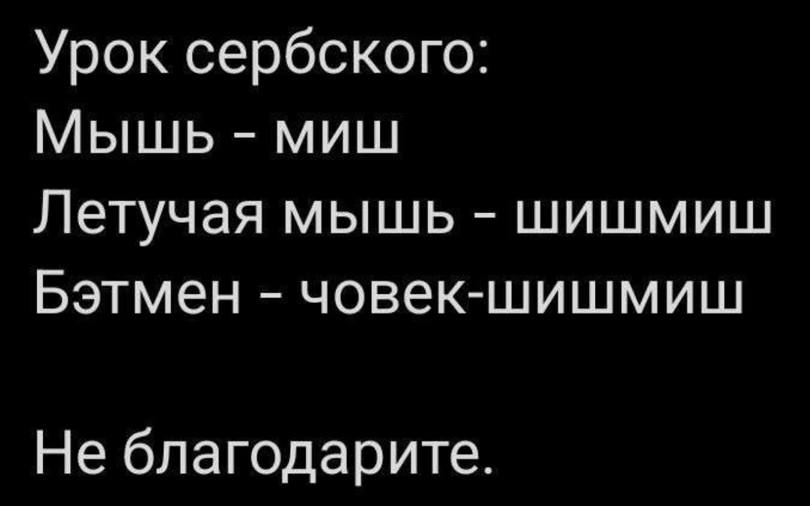 Урок сербского Мышь миш Летучая мышь шишмиш Бэтмен човек шишмиш Не благодарите