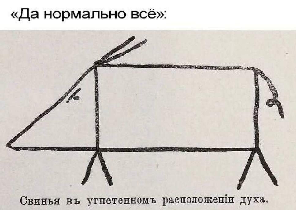 Да нормально всё Свинья въ угнетенномъ расположени духа