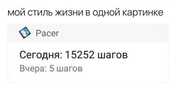 мой стиль жизни в одной картинке Расег Сегодня 15252 шагов Вчера 5 шагов