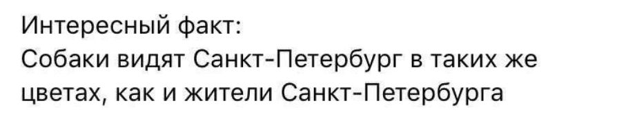 Интересный факт Собаки видят Санкт Петербург в таких же цветах как и жители Санкт Петербурга