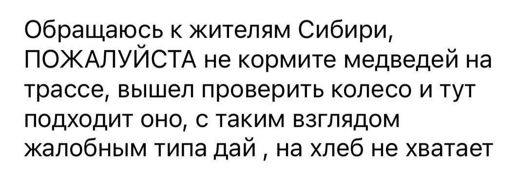 Обращаюсь к жителям Сибири ПОЖАЛУЙСТА не кормите медведей на трассе вышел проверить колесо и тут подходит оно с таким взглядом жалобным типа дай на хлеб не хватает