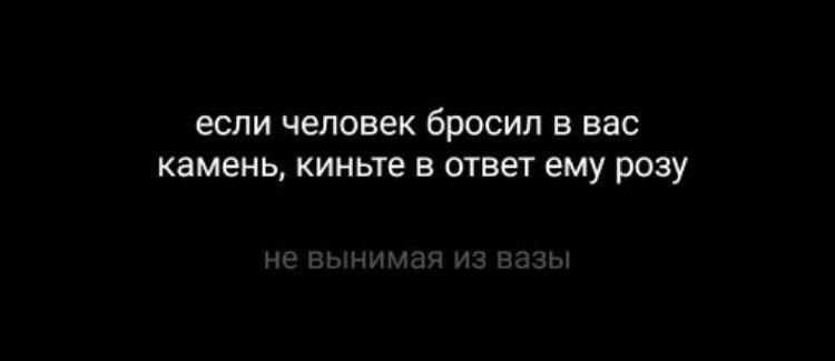 если человек бросил в вас камень киньте в ответ ему розу