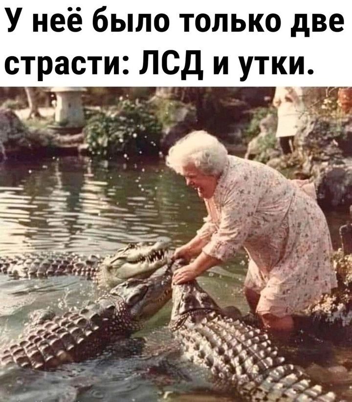 У неё было только две страсти ЛСД и утки