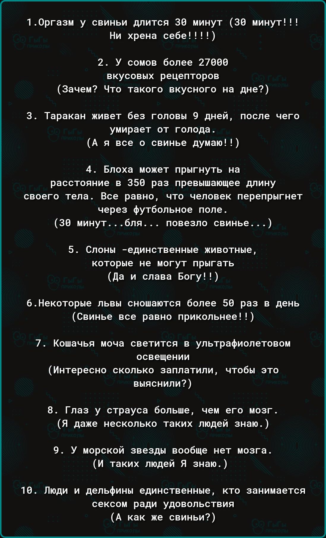 1Оргазм у свиньи длится 3 минут 30 минут Ни хрена себе 2 У сомов более 27000 вкусовых рецепторов Зачем Что такого вкусного на дне 3 Таракан живет без головы 9 дней после чего умирает от голода А я все о свинье думаю 4 Блоха может прыгнуть на расстояние в 350 раз превышающее длину своего тела Все равно что человек перепрыгнет через футбольное поле 3