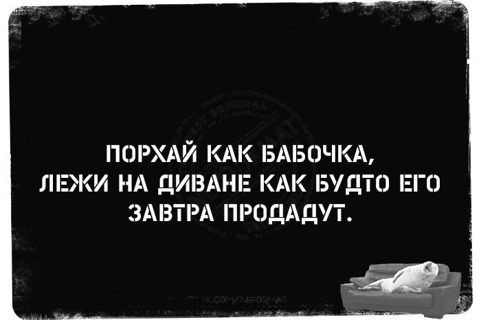 ПОРХАЙ КАК БАБОЧКА ЛЕЖИ НА ДИВАНЕ КАК БУДТО ЕГО ЗАВТРА ПРОДАДУТ Е