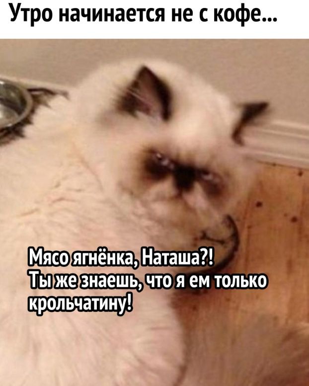 Утро начинается не с кофе Гдд_