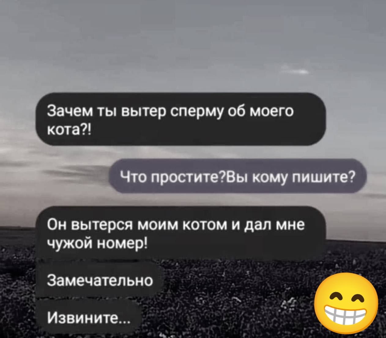 Зачем ты вытер сперму об моего кота Что проститеВы кому пишите Он вытерся моим котом и дал мне чужой номер Замечательно Извините