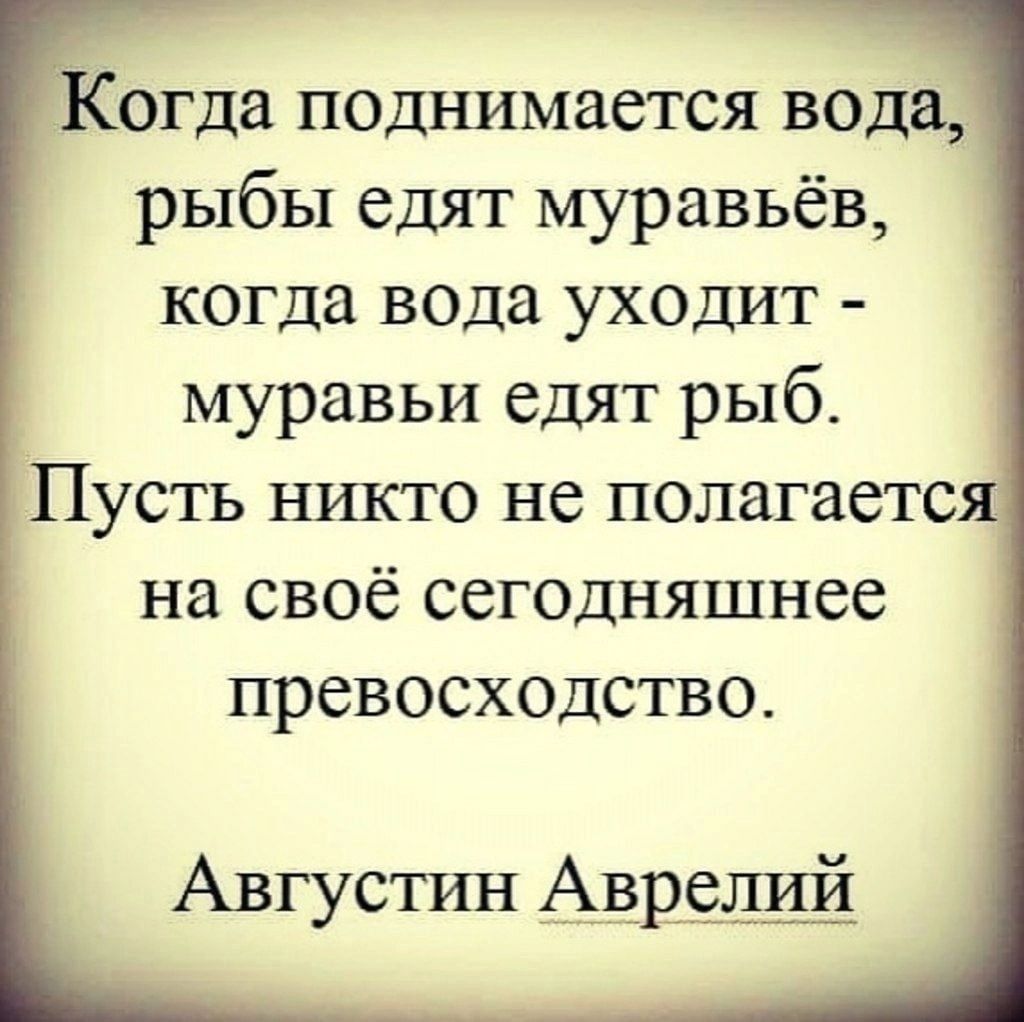 Когда поднимается вода рыбы едят муравьёв когда вода уходит муравьи едят рыб Пусть никто не полагаетс на своё сегодняшнее превосходство Августин Аврелий