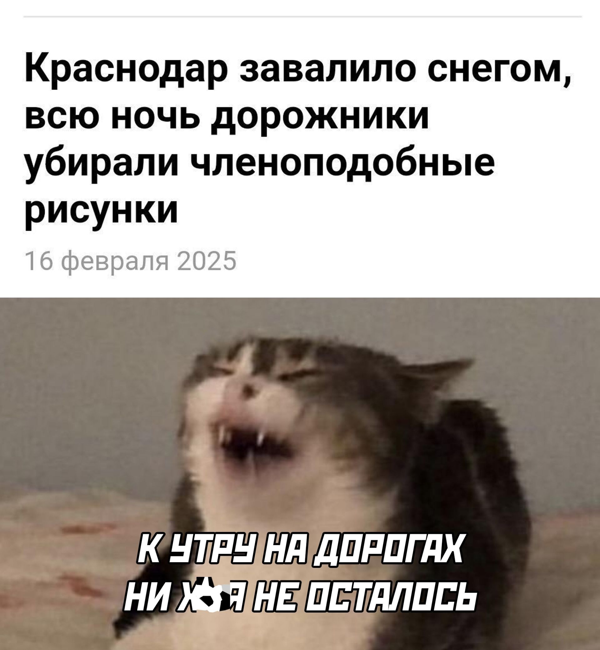 Краснодар завалило снегом всю ночь дорожники убирали членоподобные рисунки 16 ф 7 К чтА У НАДОРОГАХ НИ УЭ НЕЛОСТАЛОСЬ