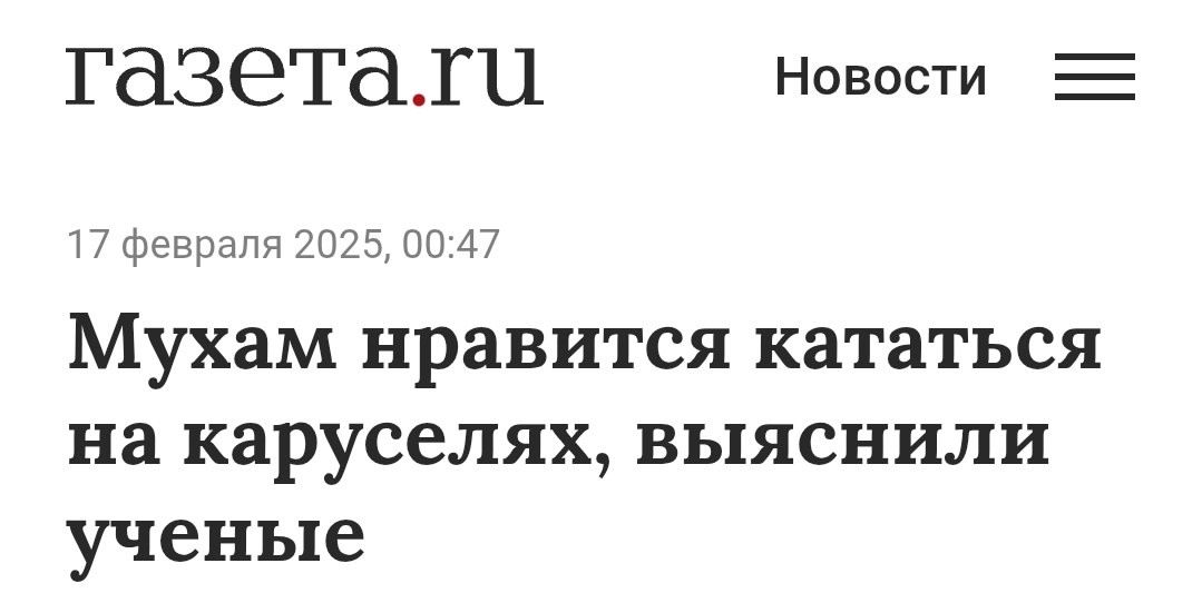 тазетаги Новости 17 февраля 2025 0047 Мухам нравится кататься на каруселях выяснили ученые