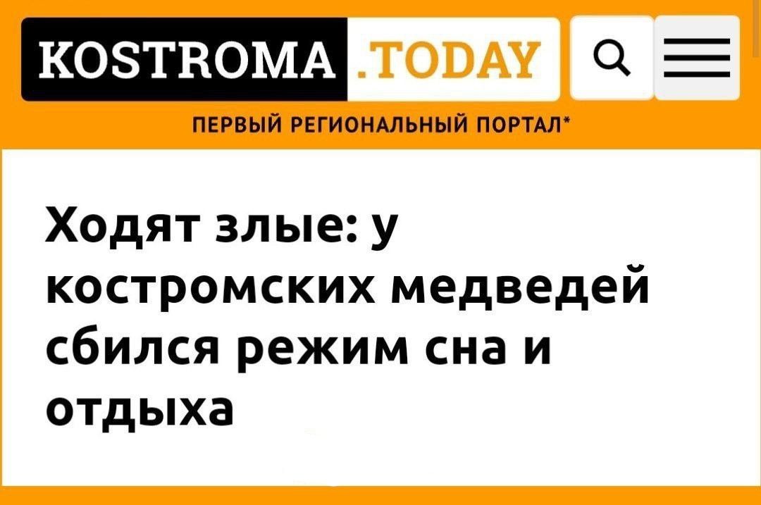 КО5СТВОМА а ПЕРВЫЙ РЕГИОНАЛЬНЫЙ ПОРТАЛ Ходят злые у костромских медведей сбился режим сна и отдыха