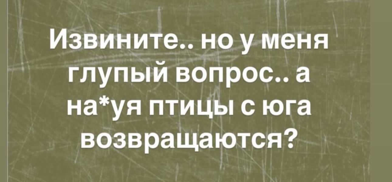 Извините но уменя глупый вопрос а науя птицы с юга возвращаются