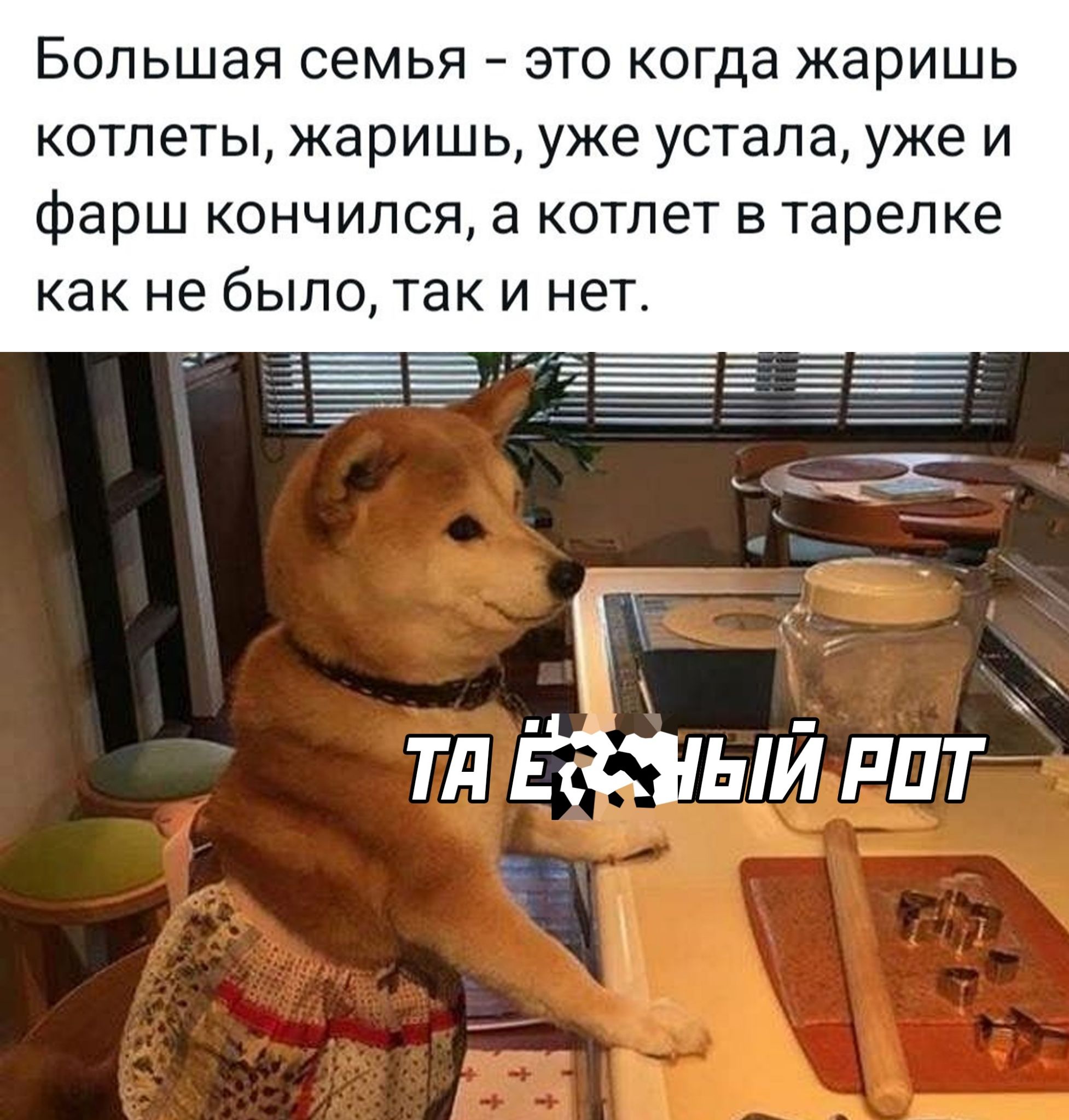 Большая семья это когда жаришь котлеты жаришь уже устала уже и фЭрШ кончился а котлет в тарелке как не было так и нет ТЯРЗНЫЙРОТ