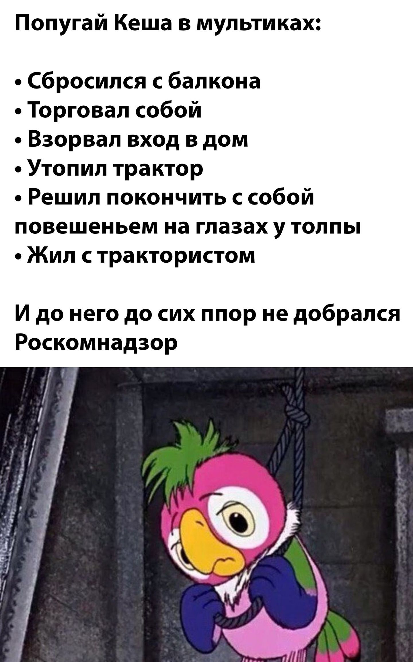 Попугай Кеша в мультиках Сбросился с балкона Торговал собой Взорвал вход в дом Утопил трактор Решил покончить с собой повешеньем на глазах у толпы Жил с трактористом И до него до сих ппор не добрался Роскомнадзор