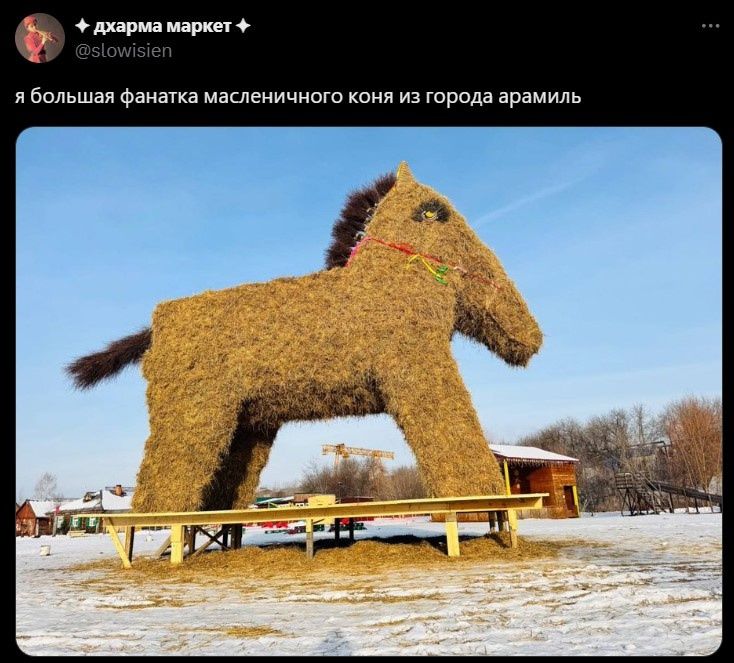 дхарма маркет ябольшая фанатка масленичного коня из города арамиль