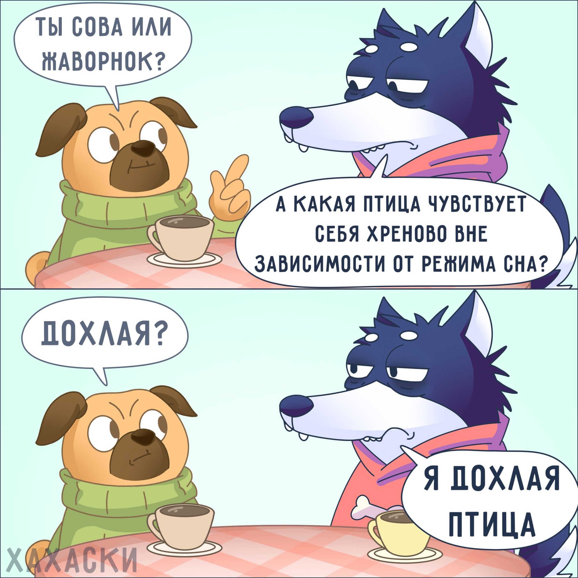 ТЫ СОВА ИЛИ МКАВОРНОК А КАКАЯ ПТИЦА ЧУВСТВУЕ СЕБЯ ХРЕНОВО ВНЕ ЗАВИСИМОСТИ ОТ РЕЖИМА СНА Я ДОХЛАЯ ПТИЦА