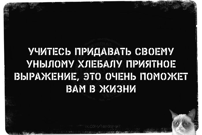 УЧИТЕСЬ ПРИДАВАТЬ СВОЕМУ УНЫЛОМУ ХЛЕБАЛУ ПРИЯТНОЕ ВЫРАЖЕНИЕ, ЭТО ОЧЕНЬ ПОМОЖЕТ ВАМ В ЖИЗНИ