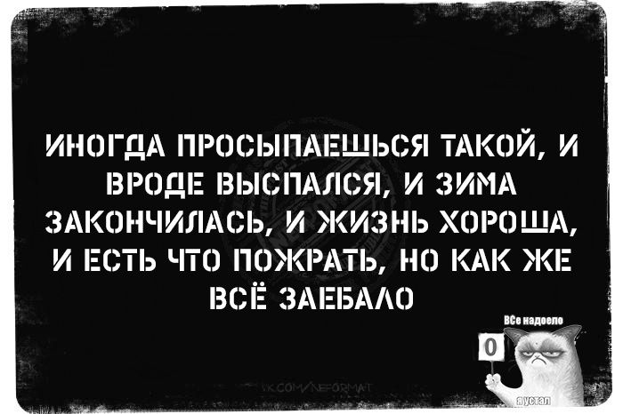 ИНОГДА ПРОСЫПАЕШЬСЯ ТАКОЙ, И ВРОДЕ ВЫСПАЛСЯ, И ЗИМА ЗАКОНЧИЛАСЬ, И ЖИЗНЬ ХОРОША, И ЕСТЬ ЧТО ПОЖРАТЬ, НО КАК ЖЕ ВСЁ ЗАЕБАЛО