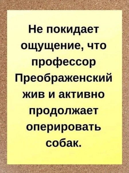 Не покидает ощущение, что профессор Преображенский жив и активно продолжает оперировать собак.