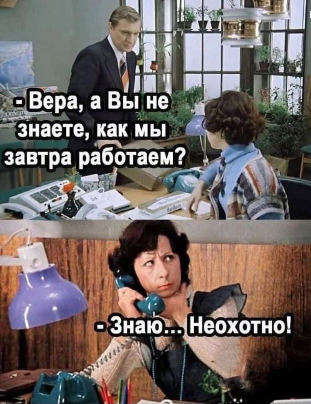 - Вера, а Вы не знаете, как мы завтра работаем?
- Знаю... Неохотно!