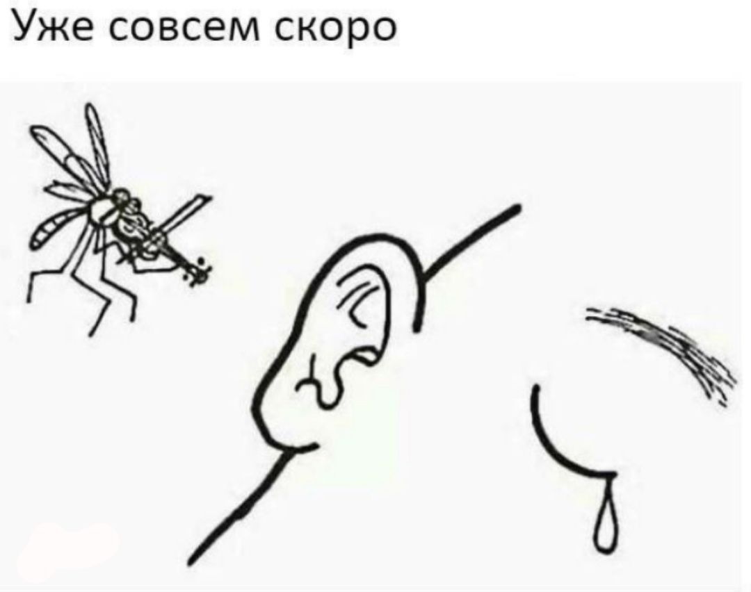 Уже совсем скоро