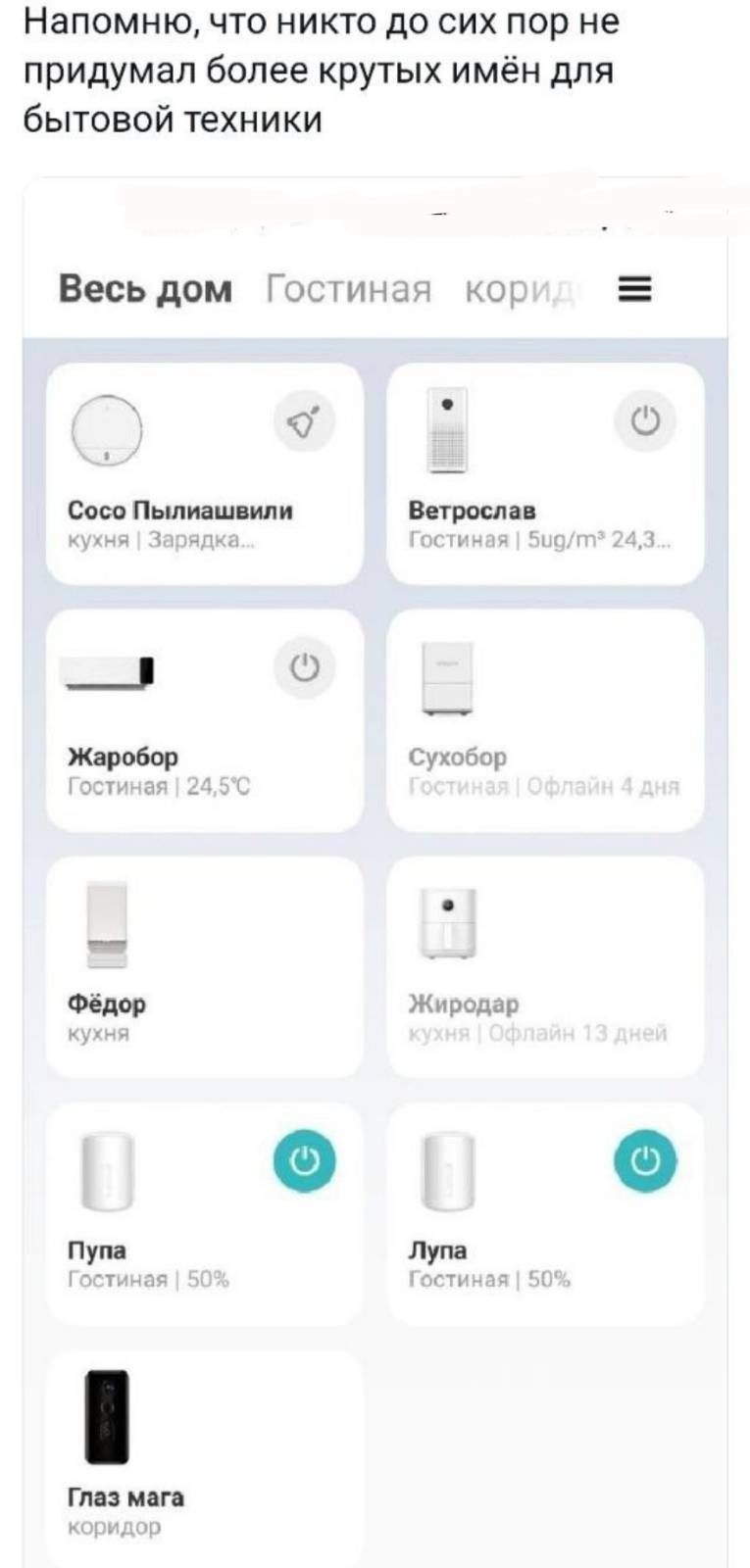 Напомню, что никто до сих пор не придумал более крутых имён для бытовой техники

Весь дом
Гостиная
коридор

Сосо Пыляшвили
кухня | Зарядка...

Ветрослав
Гостиная | 5ug/m² 24,3...

Жаробор
Гостиная | 24,5°C

Сухобор
Гостиная | Офлайн 4 дня

Фёдор
кухня | ...

Жиродар
кухня | Офлайн 13 дней

Пупа
Гостиная | 50%

Лупа
Гостиная | 50%

Глаз мага
коридор