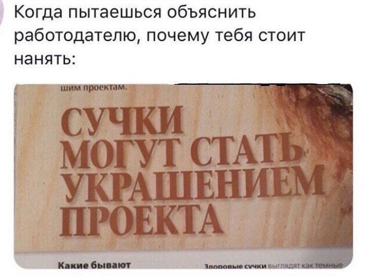 Когда пытаешься объяснить работодателю, почему тебя стоит нанять:

СУЧКИ МОГУТ СТАТЬ УКРАШЕНИЕМ ПРОЕКТА

Какие бывают

Здоровые сучки вылетают как термины