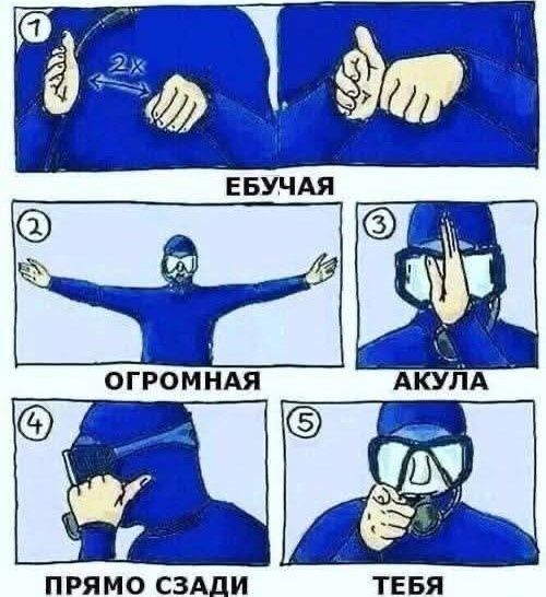 1. ЕБУЧАЯ 2. ОГРОМНАЯ 3. АКУЛА 4. ПРЯМО СЗАДИ 5. ТЕБЯ