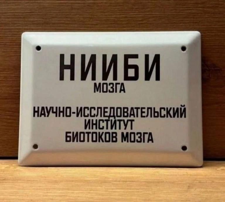 НИБИ МОЗГА
НАУЧНО-ИССЛЕДОВАТЕЛЬСКИЙ ИНСТИТУТ БИОТОКОВ МОЗГА