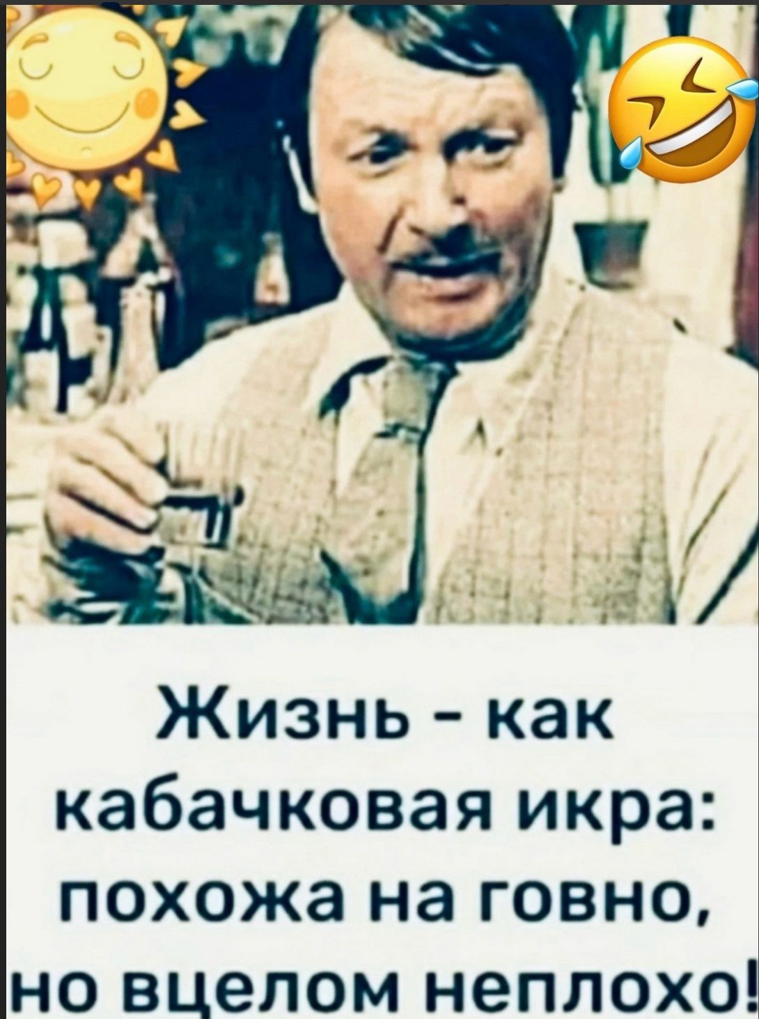 Жизнь - как кабачковая икра: похожа на говно, но в целом неплохо!