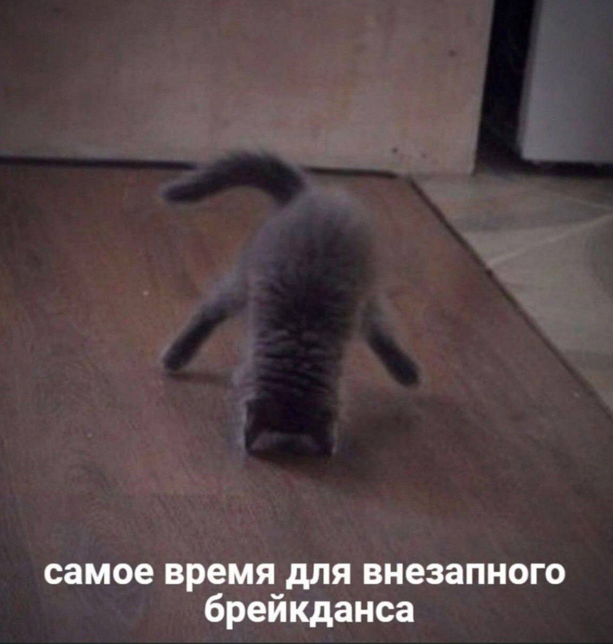 самое время для внезапного брейкданса