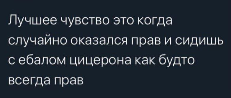 Лучшее чувство это когда случайно оказался прав и сидишь с ебалом цицерона как будто всегда прав