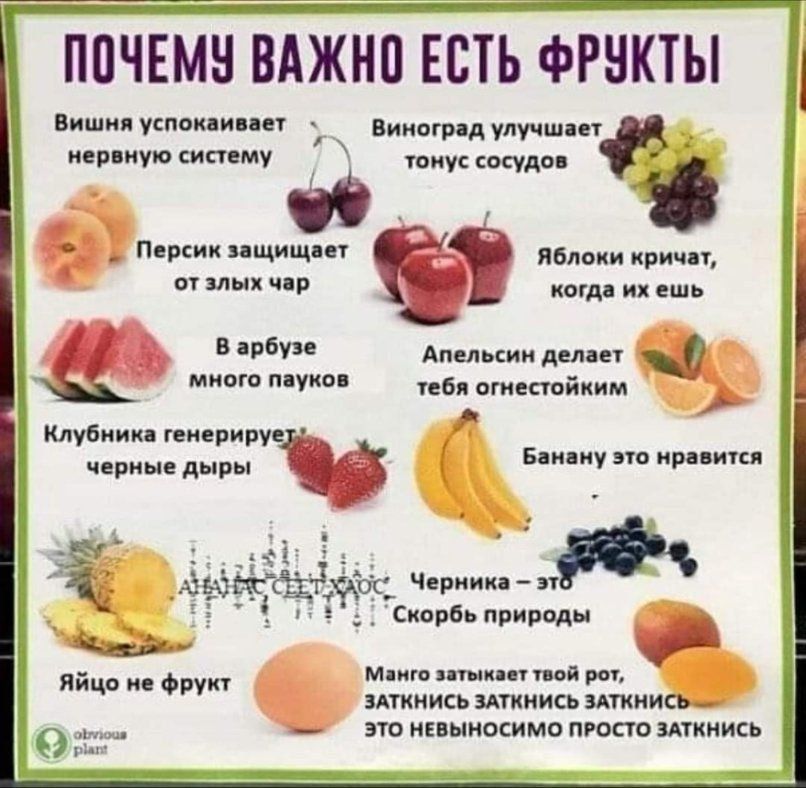 ПОЧЕМУ ВАЖНО ЕСТЬ ФРУКТЫ
Вишня успокаивает нервную систему
Виноград улучшает тонус сосудов
Персик защищает от злых дар
Яблоки кричат, когда их ешь
В арбузе много пауков
Апельсин делает тебя эстетичным
Банану это нравится
Клубника генерирует черные дыры
Чёрника – это Скорбь природы
Яйцо не фрукт
Много заткнет твой рот, заткнись заткнись заткнись это невыносимо просто заткнись