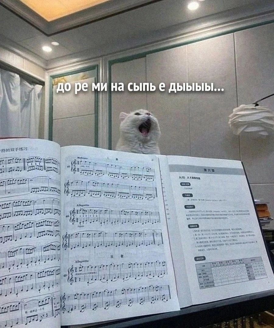до ре ми на сыпь е дыдыхы...