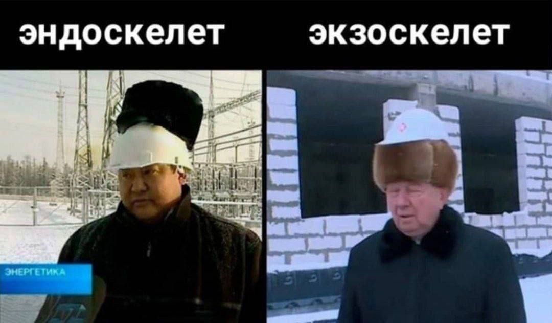 эндоскелет
экзоскелет