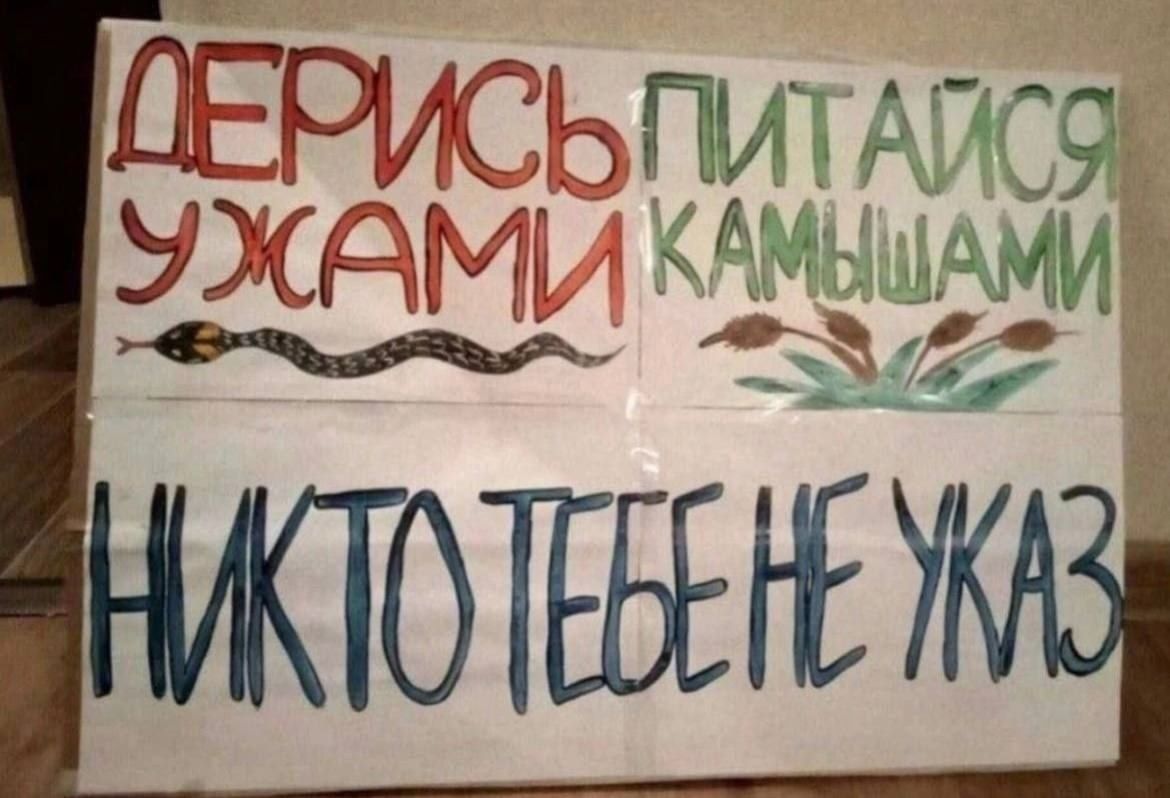 ДЕРИСЬ УЖАМИ ПИТАЙСЯ КАМЫШАМИ НИКТО ТЕБЕ НЕ УКАЗ