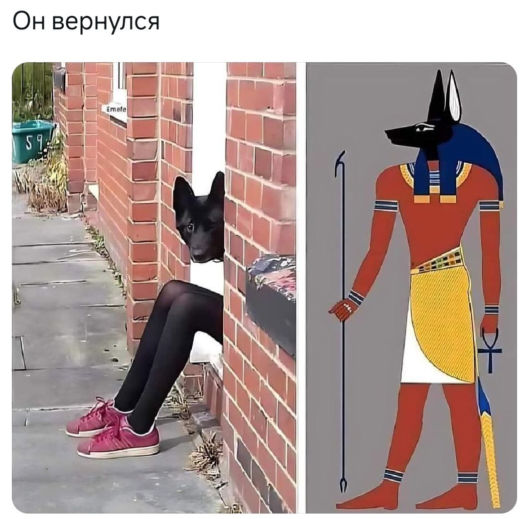 Он вернулся.