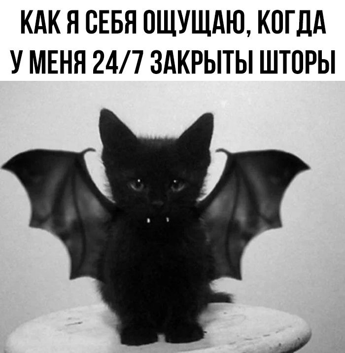 КАК Я СЕБЯ ОЩУЩАЮ, КОГДА У МЕНЯ 24/7 ЗАКРЫТЫ ШТОРЫ