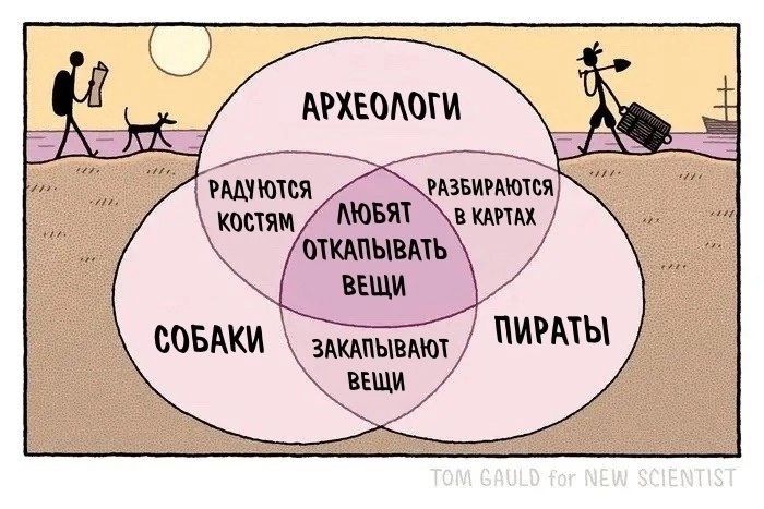 Археологи
Разбираются в картах
Любят откопывать вещи
Собаки
Радуются костям
Закапывают вещи
Пираты
