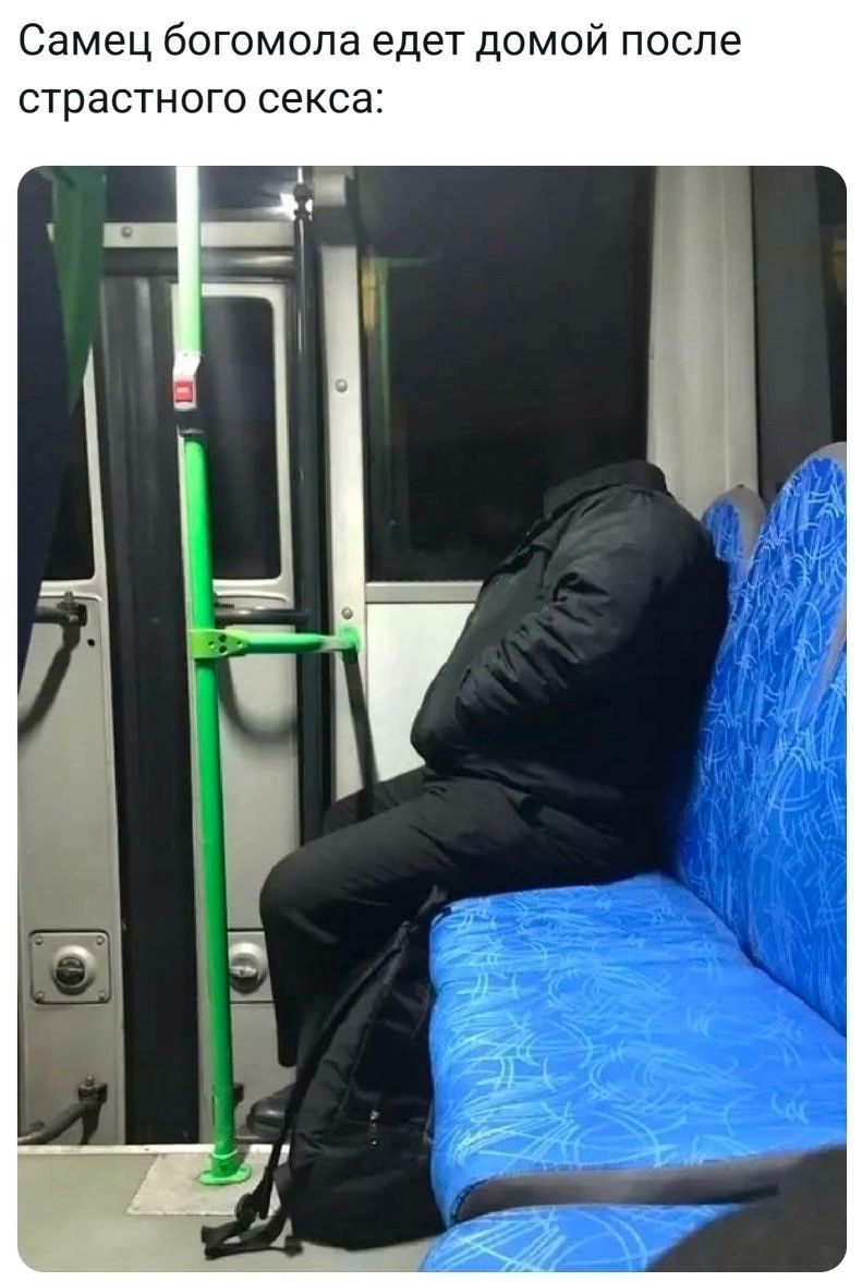 Самец богомола едет домой после страстного секса: