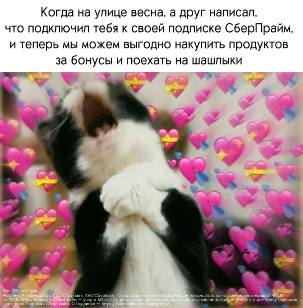 Когда на улице весна, а друг написал, что подключил тебя к своей подписке СберПрайм, и теперь мы можем выгодно купить продукты за бонусы и поехать на шашлыки