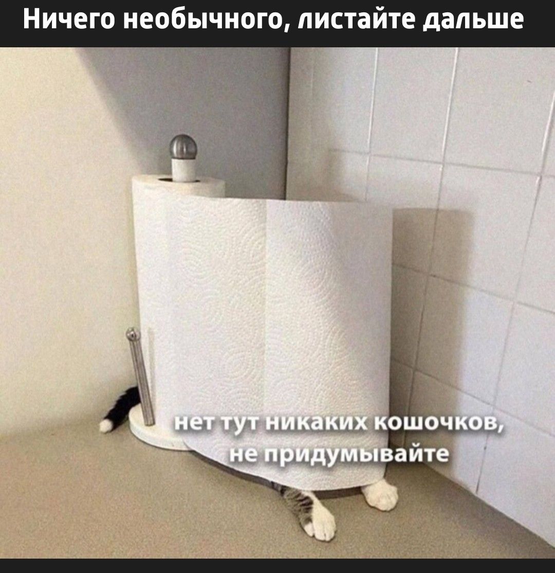 Ничего необычного, листайте дальше
нет тут никаких кошечков, не придумайте