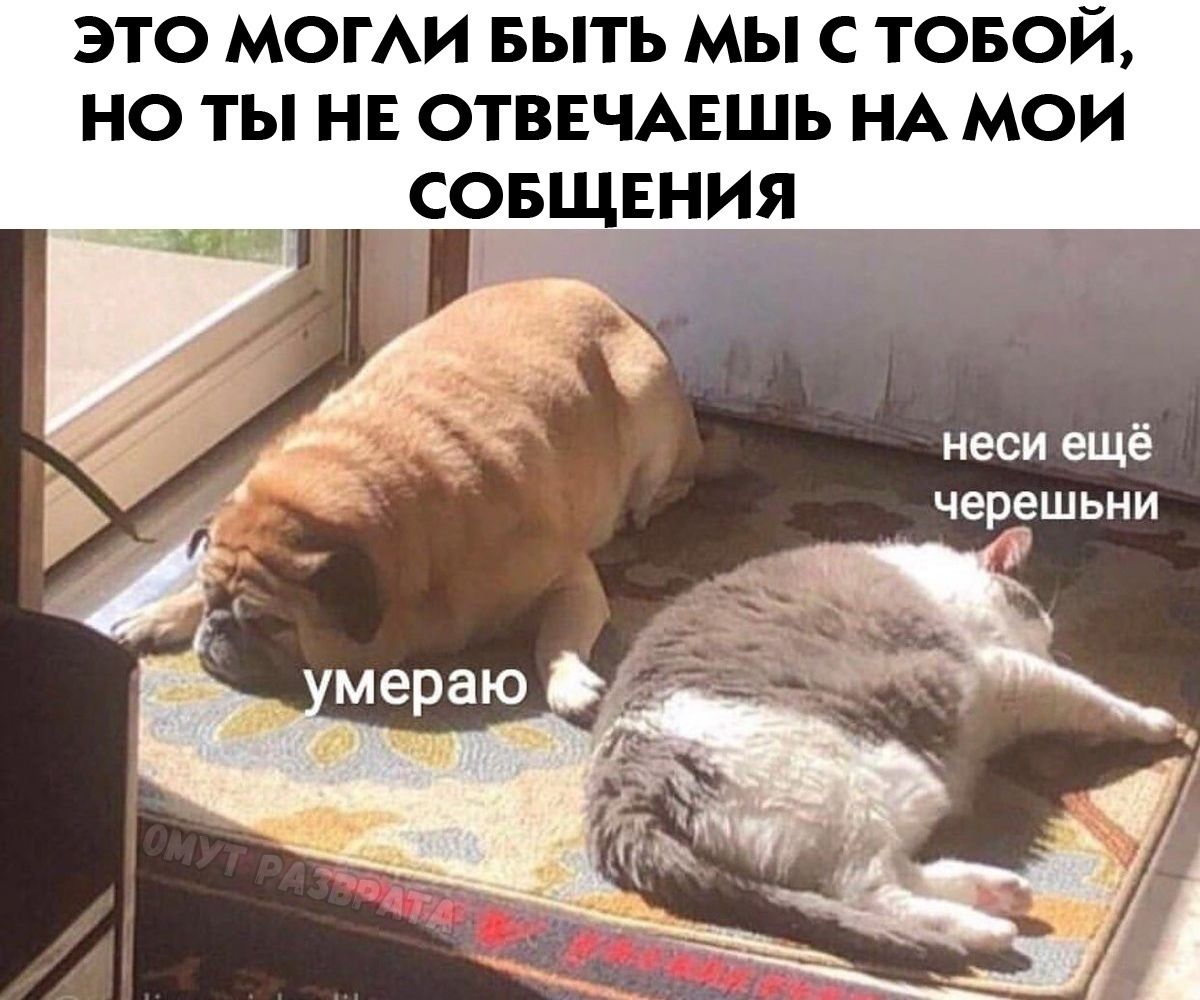 ЭТО МОГЛИ БЫТЬ МЫ С ТОБОЙ, НО ТЫ НЕ ОТВЕЧАЕШЬ НА МОИ СООБЩЕНИЯ
умераю
неси ещё черешни