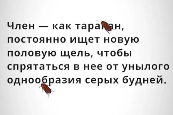 Член — как таракан, постоянно ищет новую половую щель, чтобы спрятаться в нее от унылого однообразия серых будней.