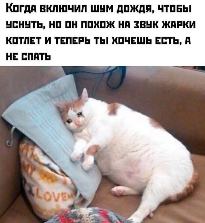 Когда включил шум дождя, чтобы уснуть, но он похож на звук жарки котлет и теперь ты хочешь есть, а не спать